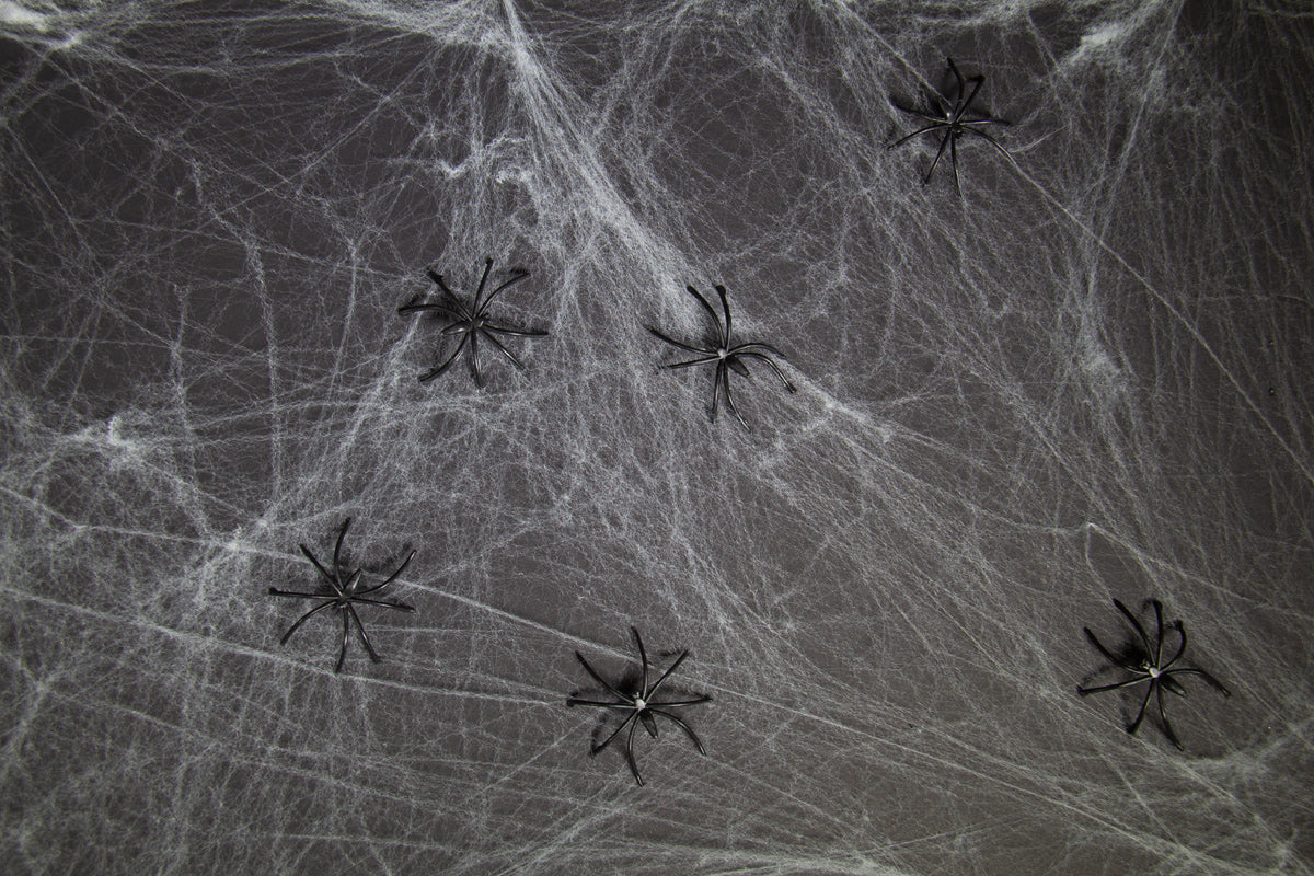 Halloween Spinnenweb met 6 Spinnen